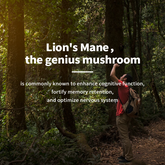 Lion Mane Capsules lmprove Memory and Concentration